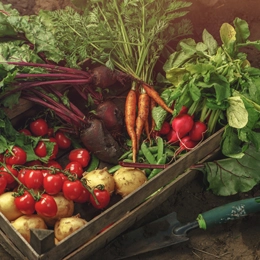 Methoden der biologischen Landwirtschaft