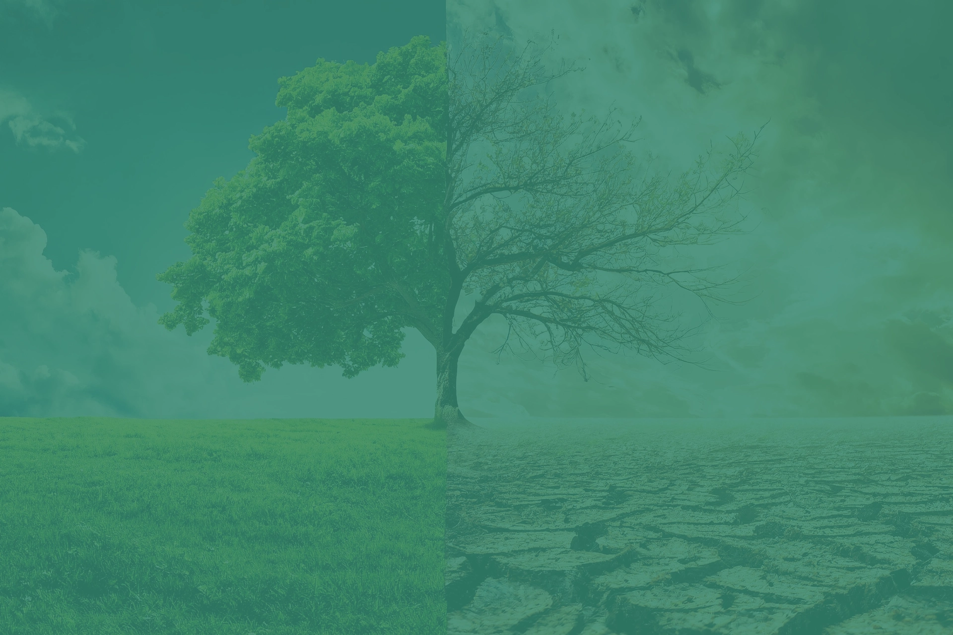 Klimawandel und seine globalen Auswirkungen