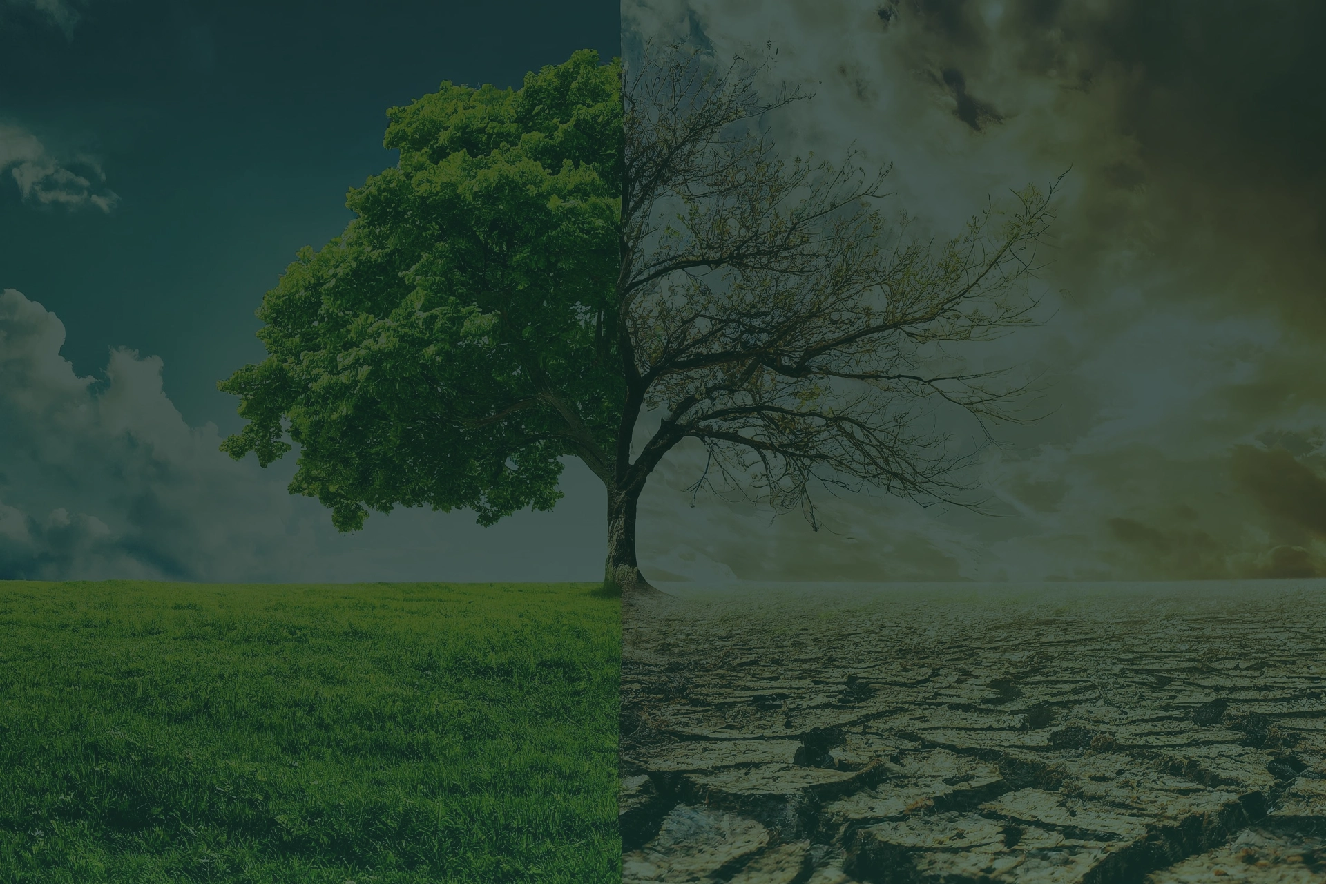 Klimawandel und Anpassungsstrategien